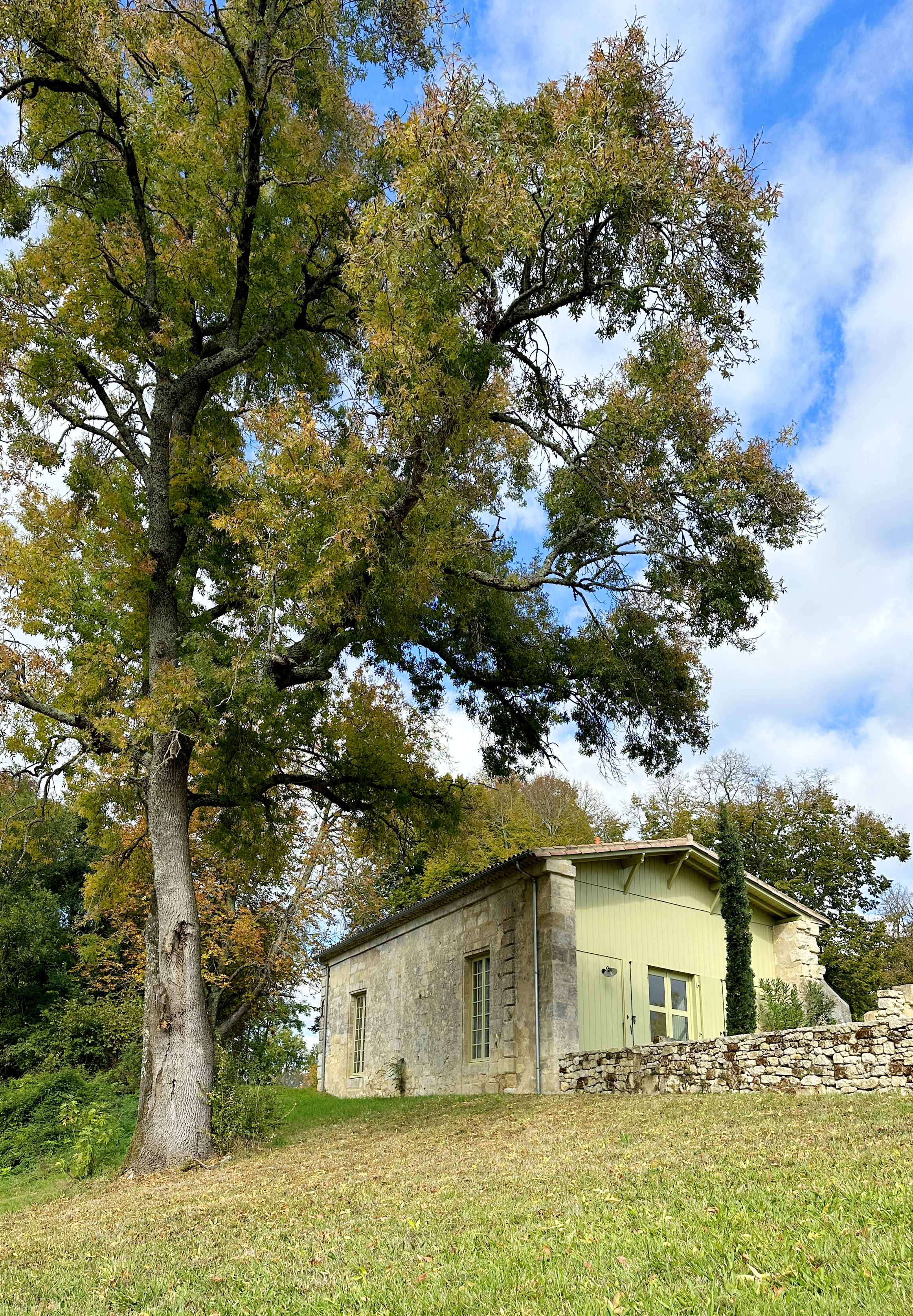 Château des Abeilles - View 2